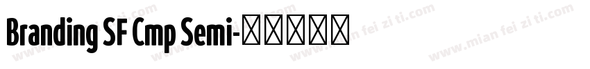 Branding SF Cmp Semi字体转换